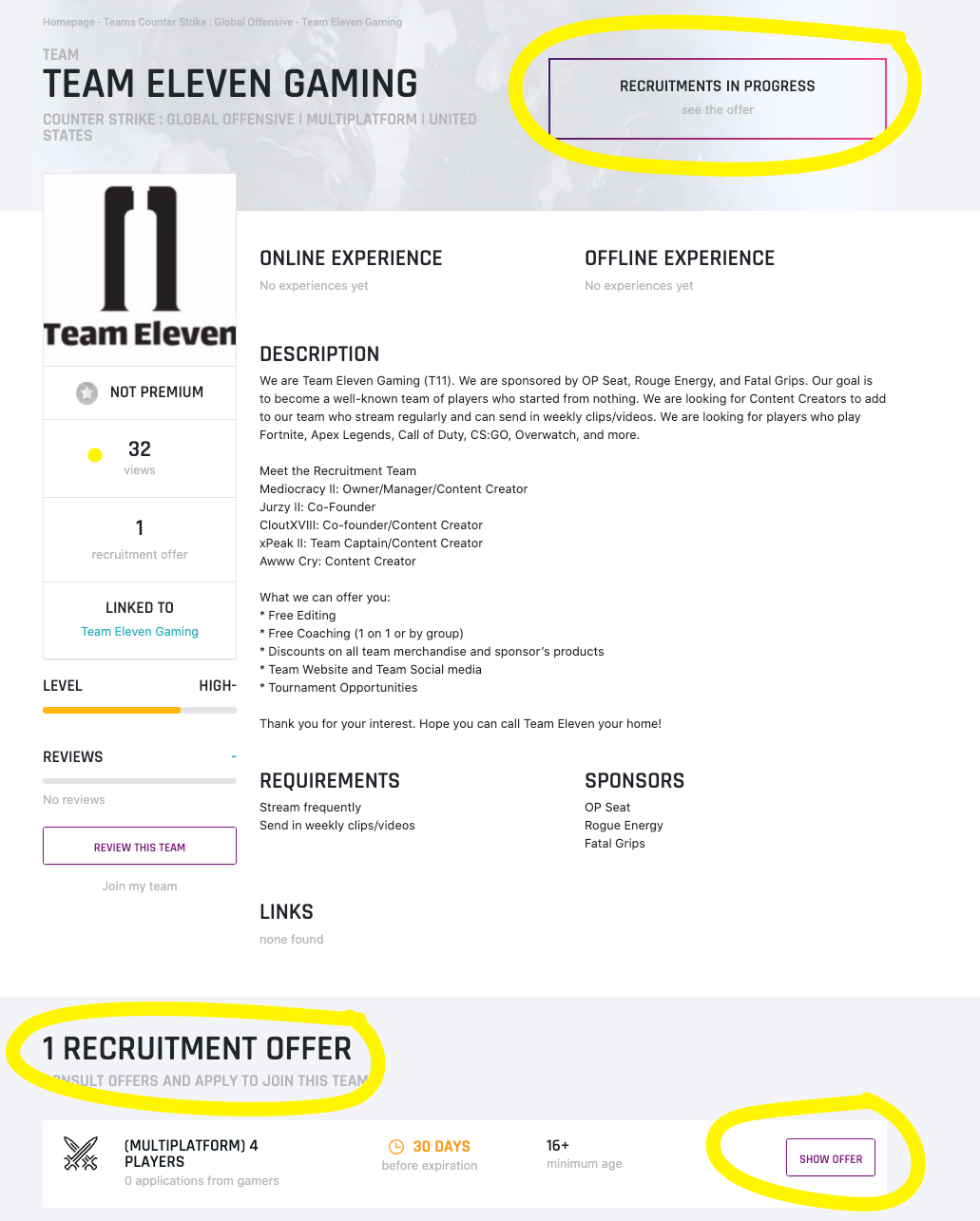 A team page showing its active recruitment offers